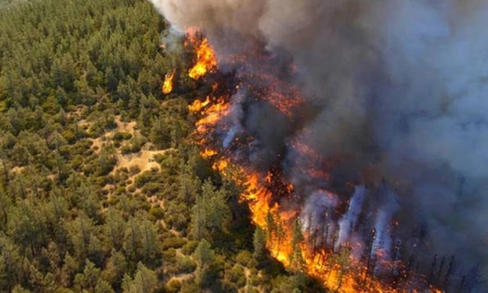 Κύπρος: Στο Κάιρο οι 4 Αιγύπτιοι που χάθηκαν στη τρομερή πυρκαγιά